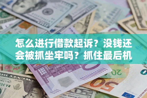 北京怎么进行借款起诉？没钱还会被抓坐牢吗？抓住最后机会！