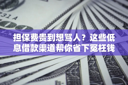 北京担保费贵到想骂人？这些低息借款渠道帮你省下冤枉钱
