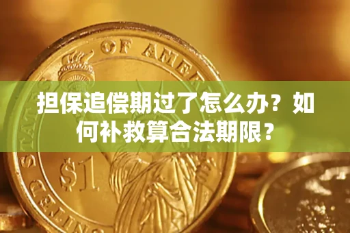 北京担保追偿期过了怎么办？如何补救算合法期限？