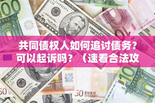 北京共同债权人如何追讨债务？可以起诉吗？（速看合法攻略）