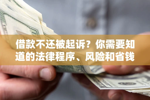 北京借款不还被起诉？你需要知道的法律程序、风险和省钱技巧
